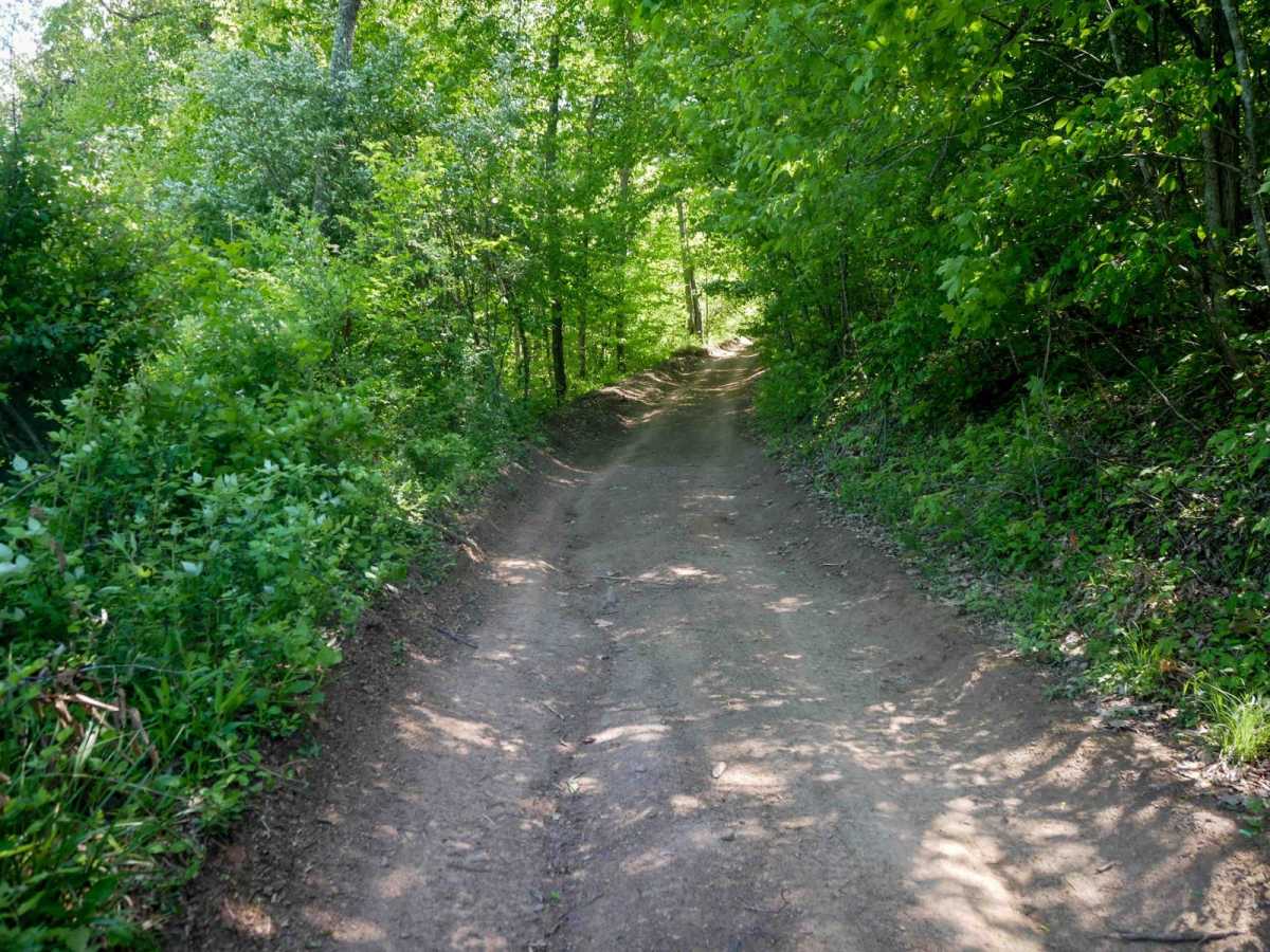 Trail 20 Powerlines photo 2