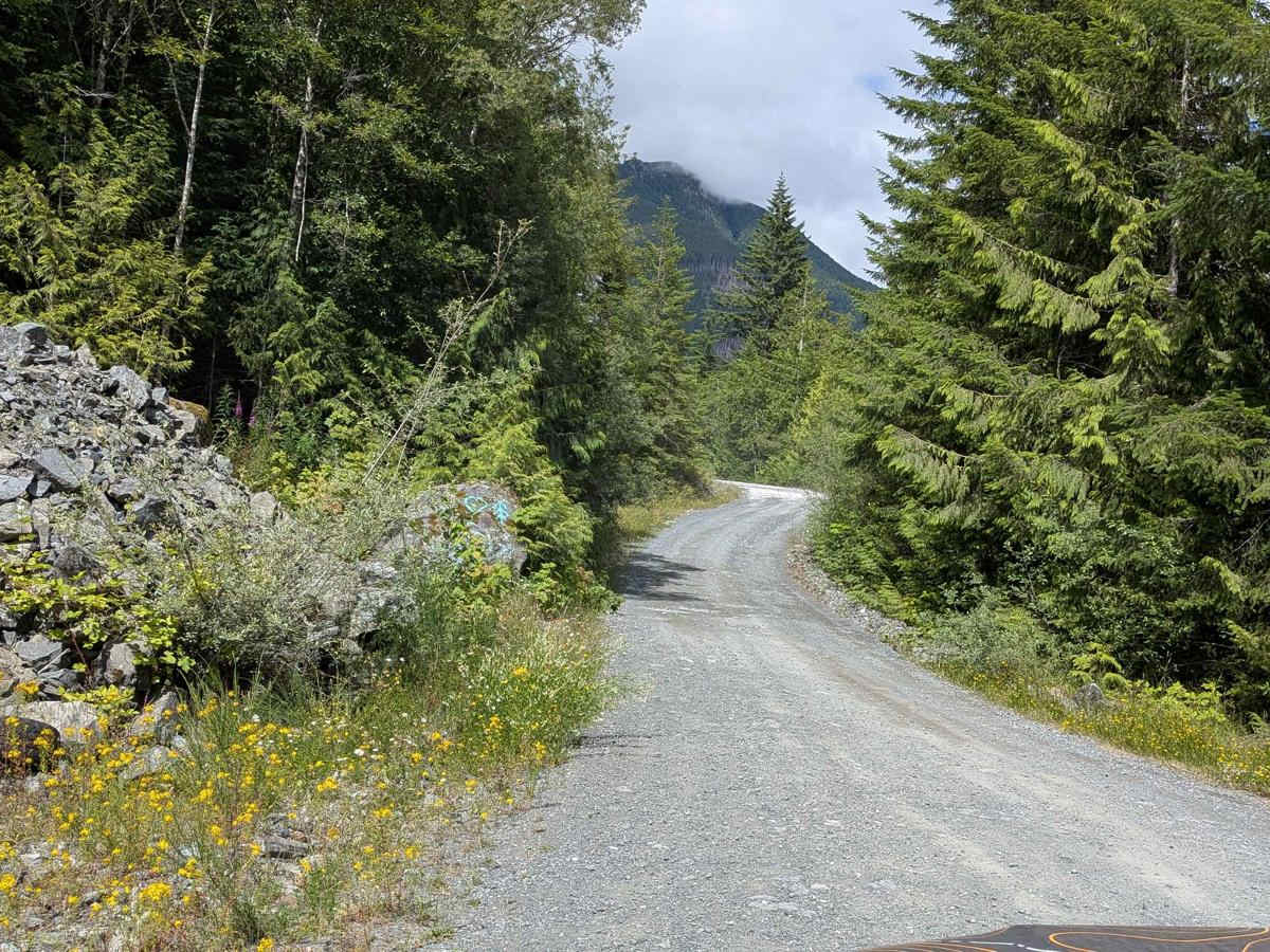 Gordon River South photo 5