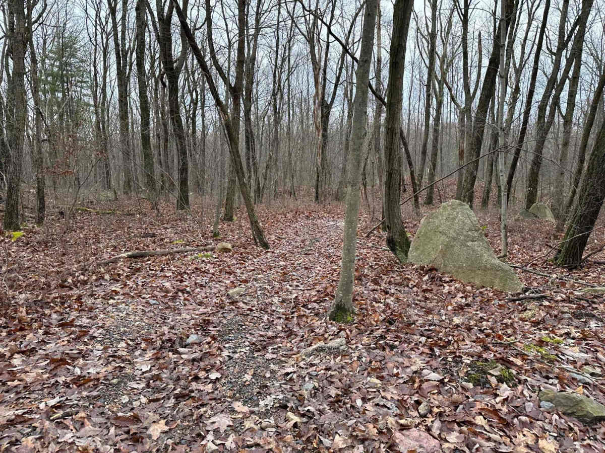ATV Trail 75 photo 4