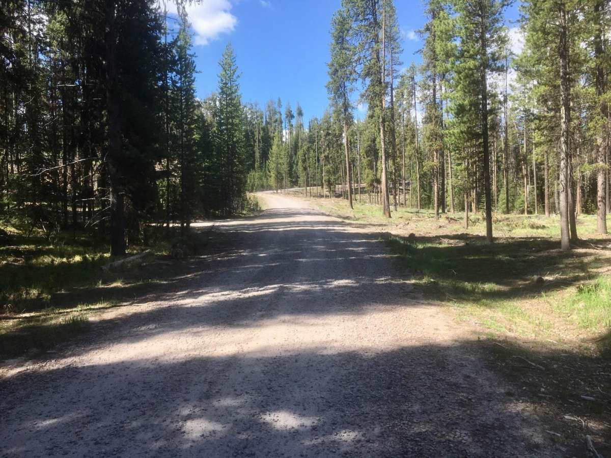 West Fork Road photo 3