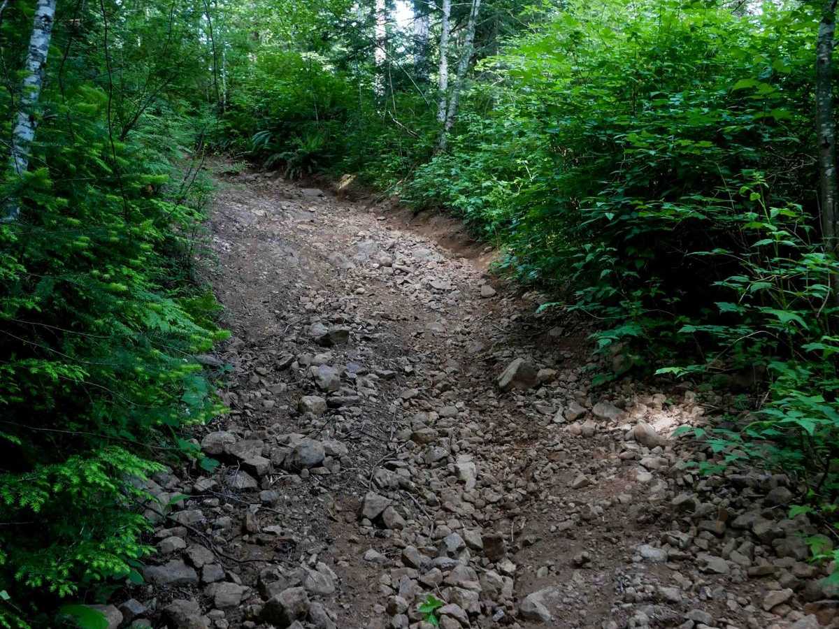 #41G trail photo
