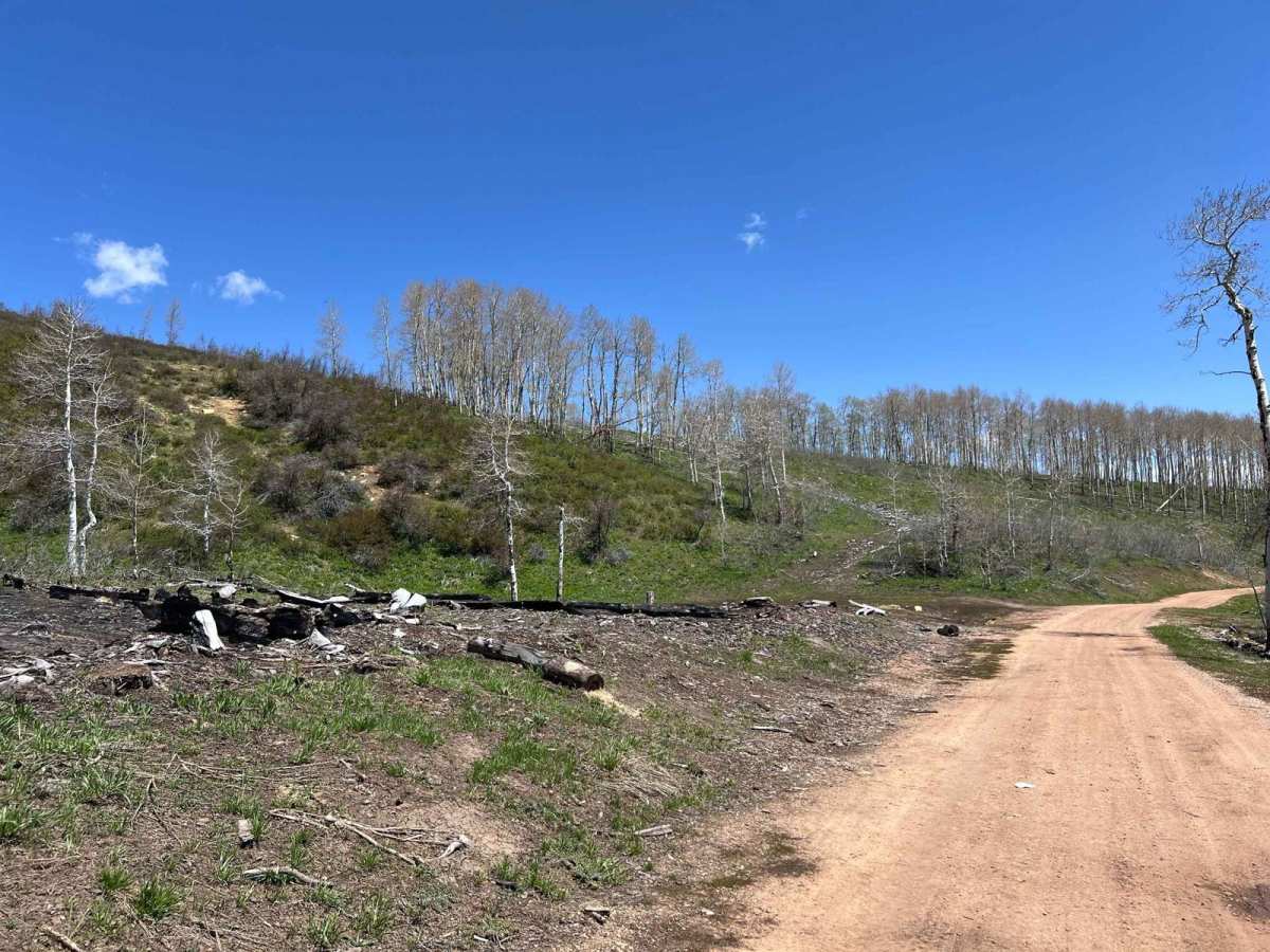 Kweeyahgut Creek Road photo 2