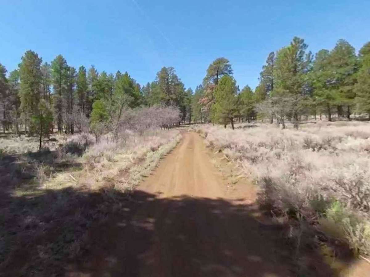 Mount Logan Road BLM 1064 photo 5
