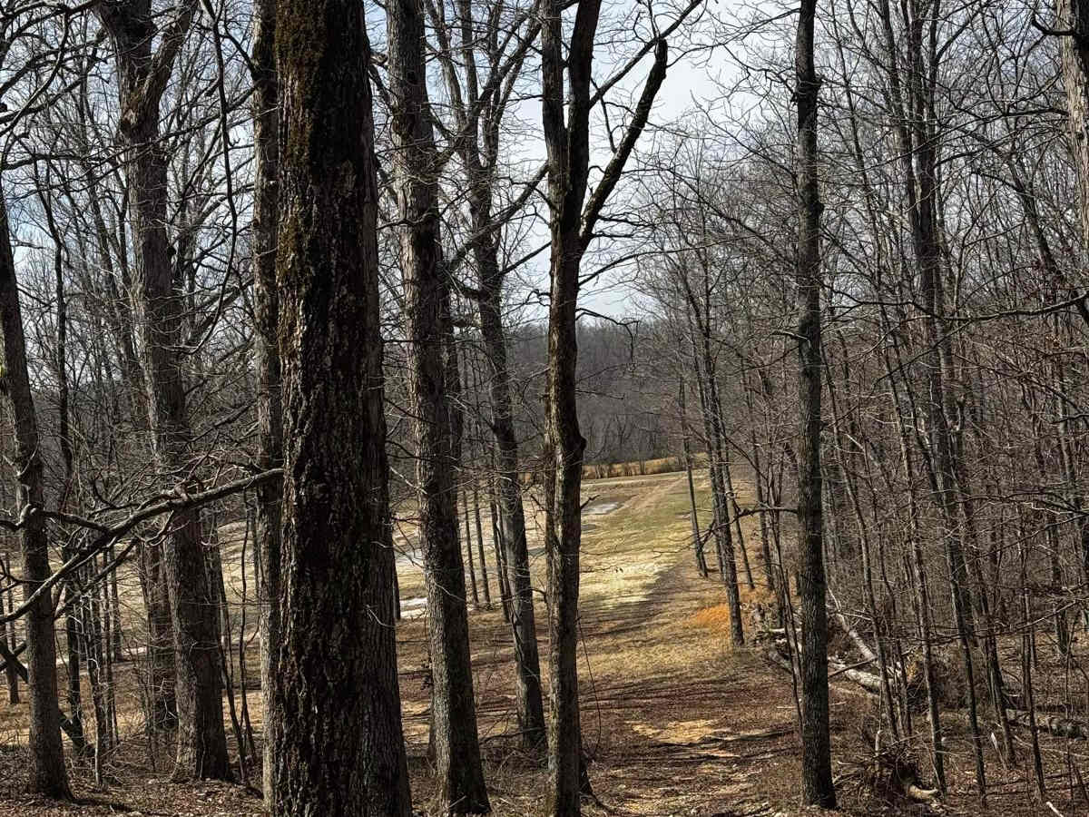 Backside Hill Climb Access trail photo