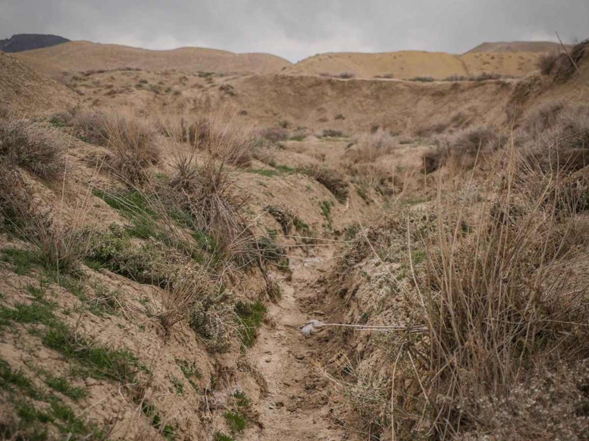 Narrow Gauge Ditch Part 1 photo 5
