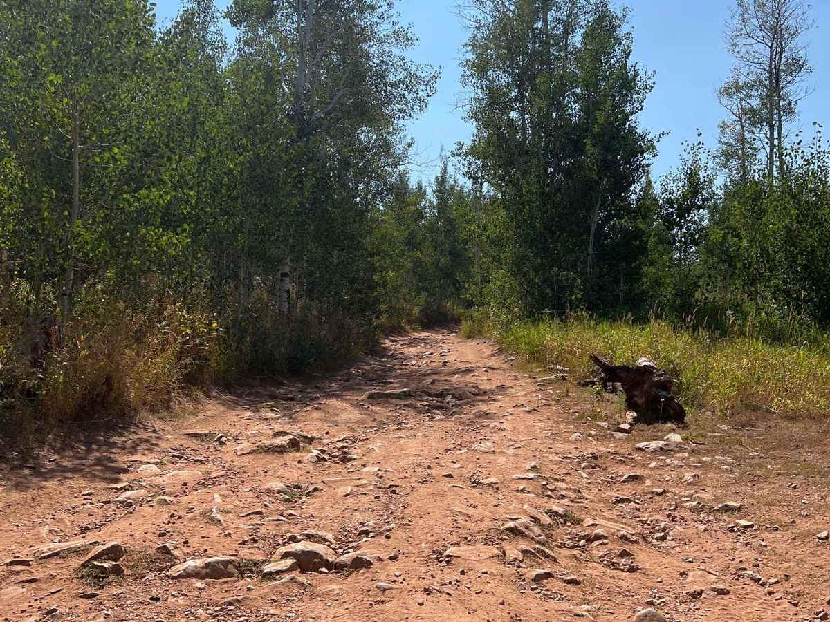 Arthur's Fork photo 4