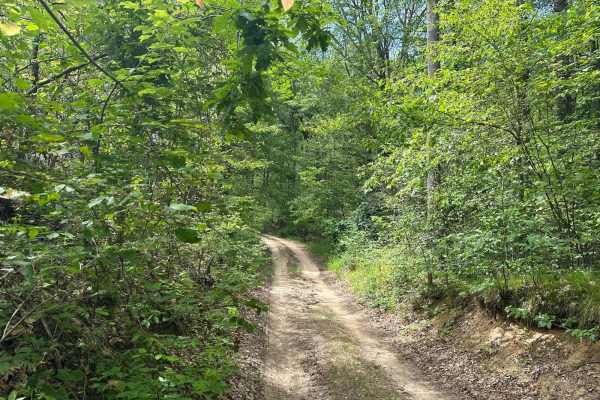 West Cannonsville Road