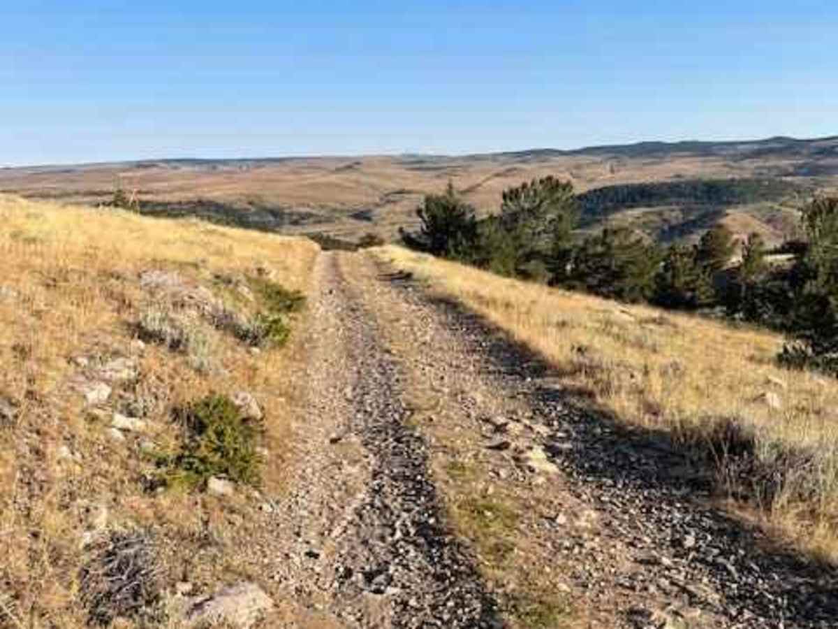 Powerline Road photo 2