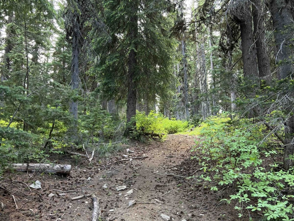 Wonderful Peak photo 3