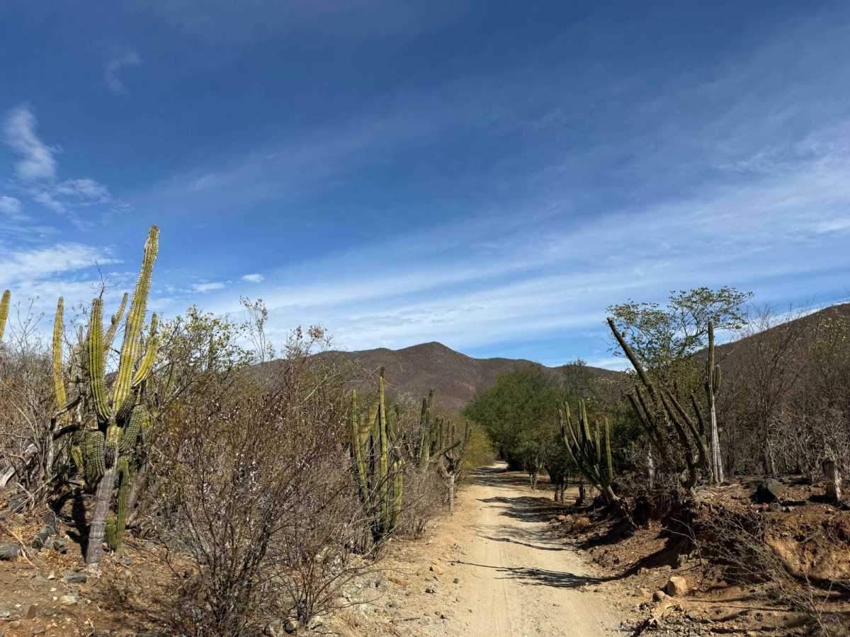 El Rosario Cutoff photo 4