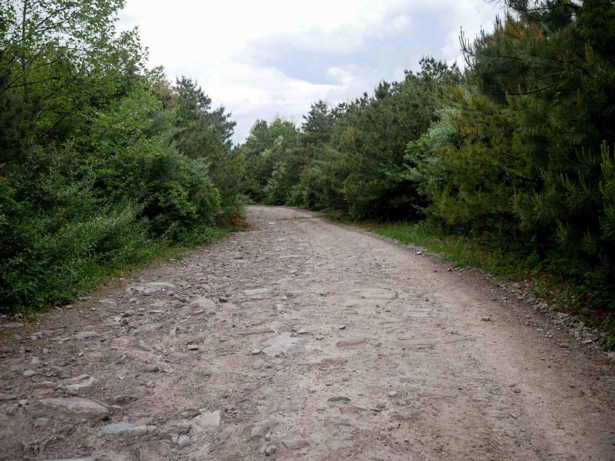RH 42 photo 4