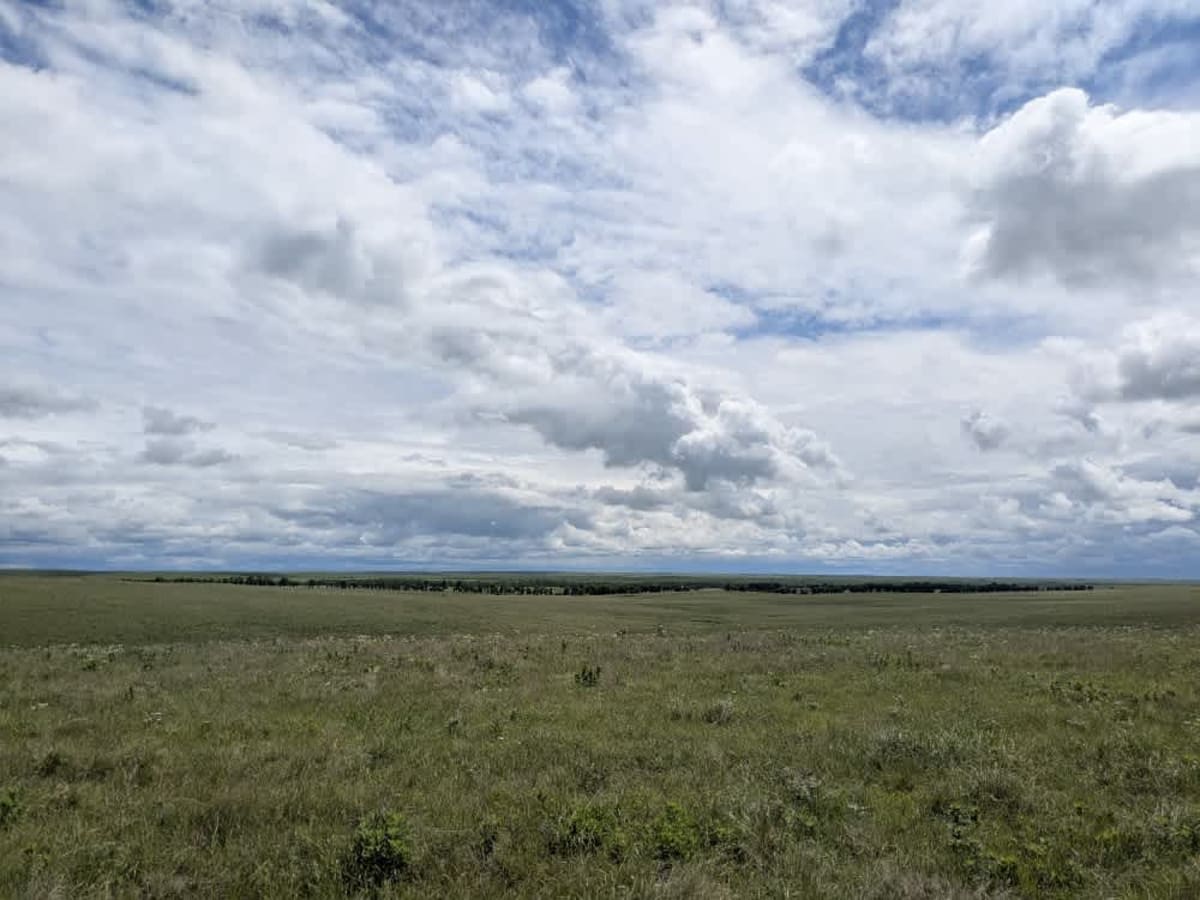 Madison Road photo 4