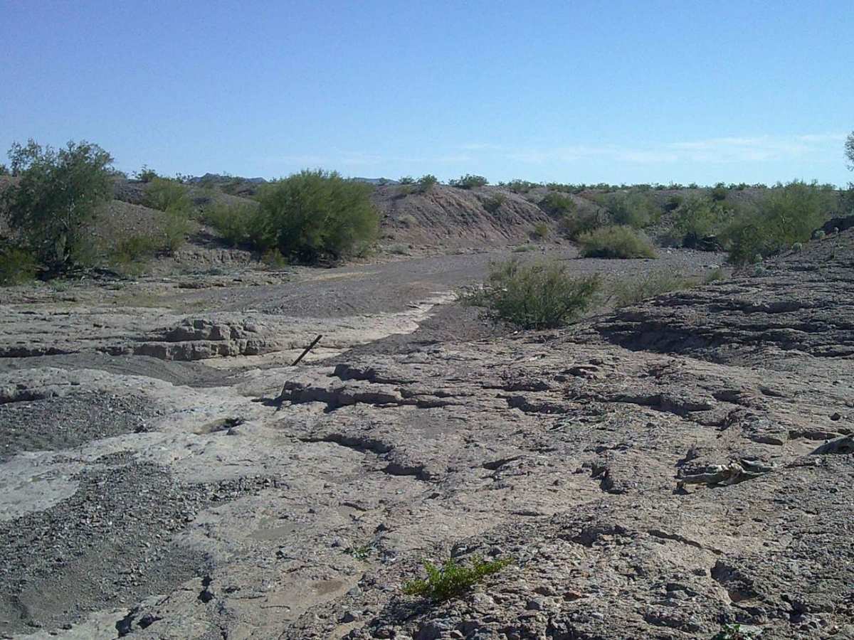 Surprise Wash #8223 trail photo