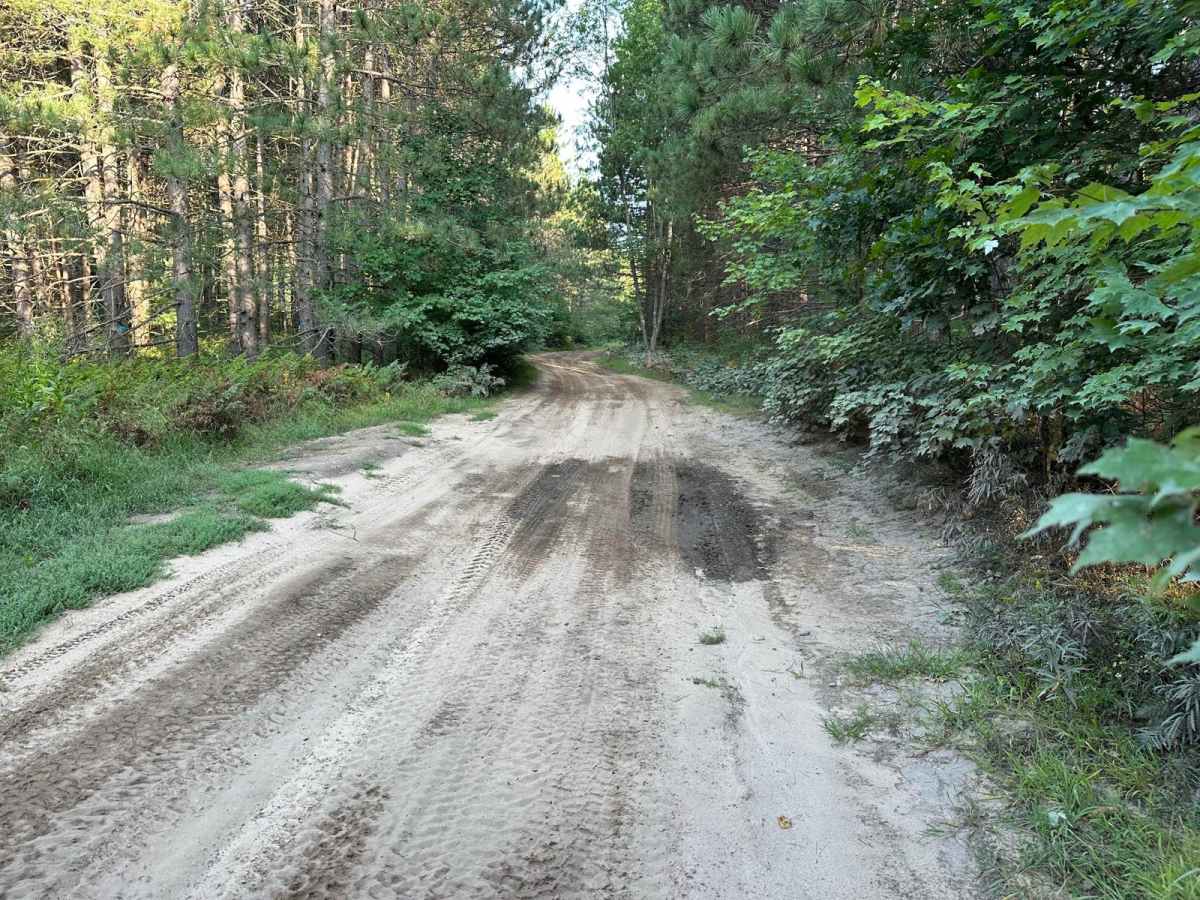 Lake Trail FS 6332 photo 5