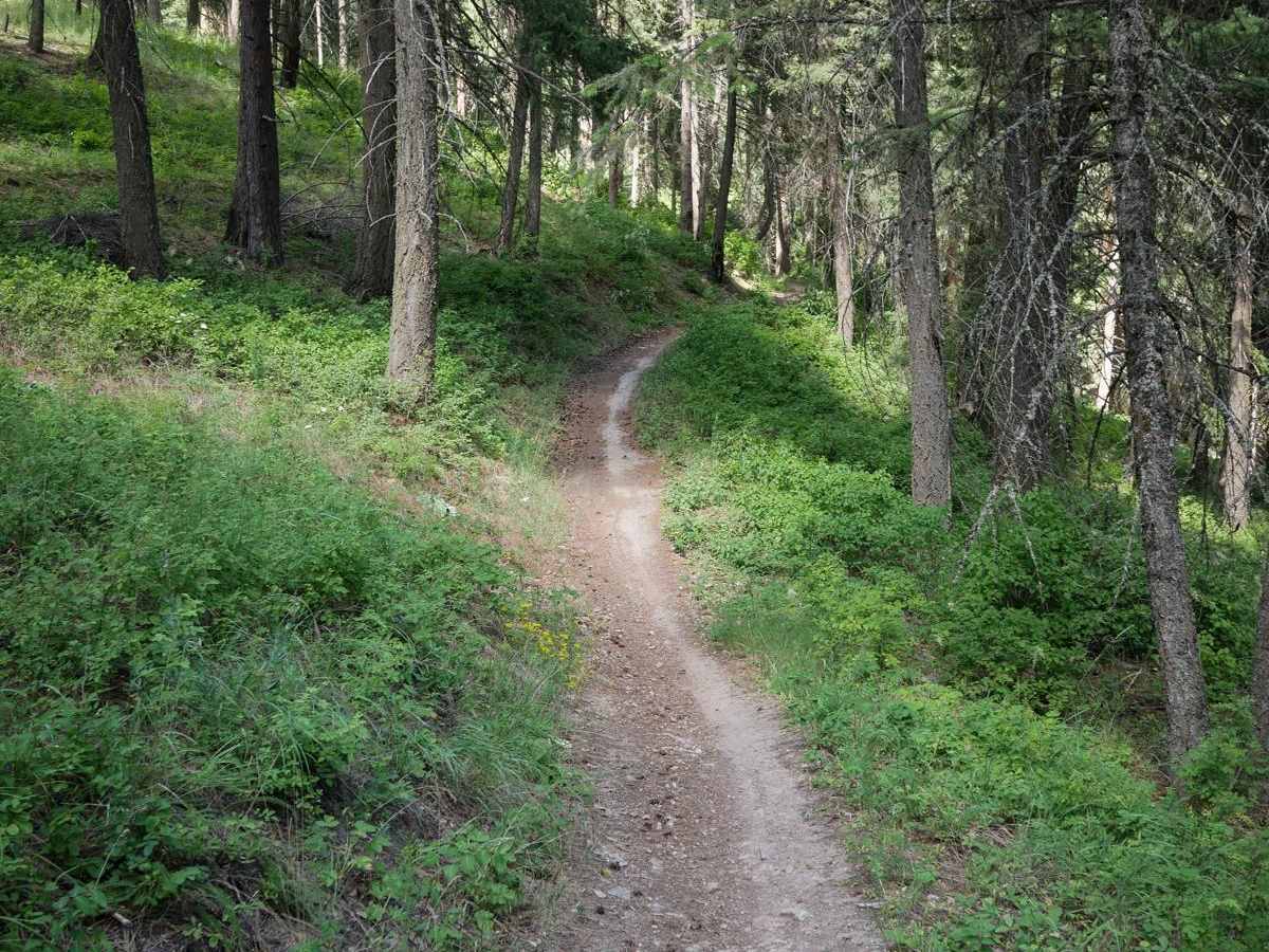 Canfield Mountain - Trail A (West) photo 2