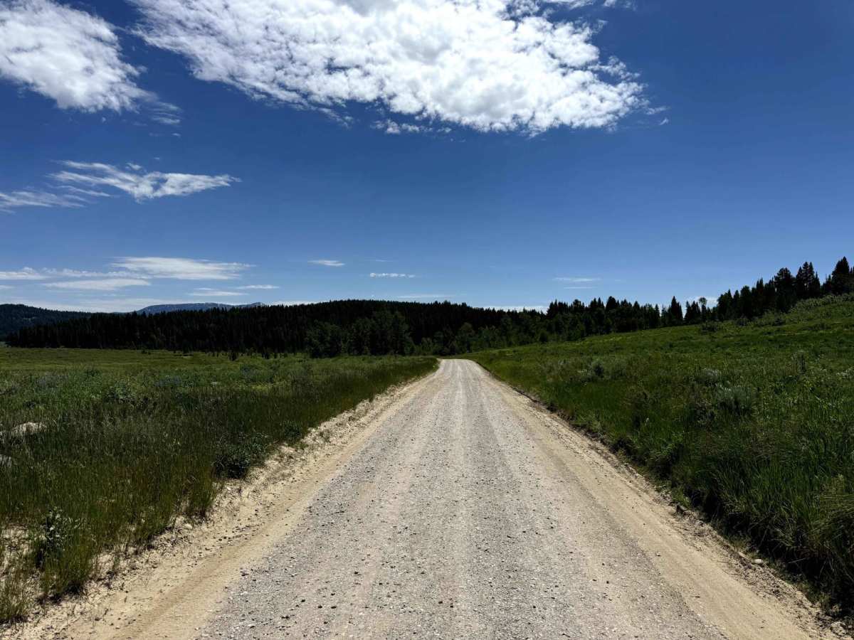 Two Ocean Lake Rd trail photo