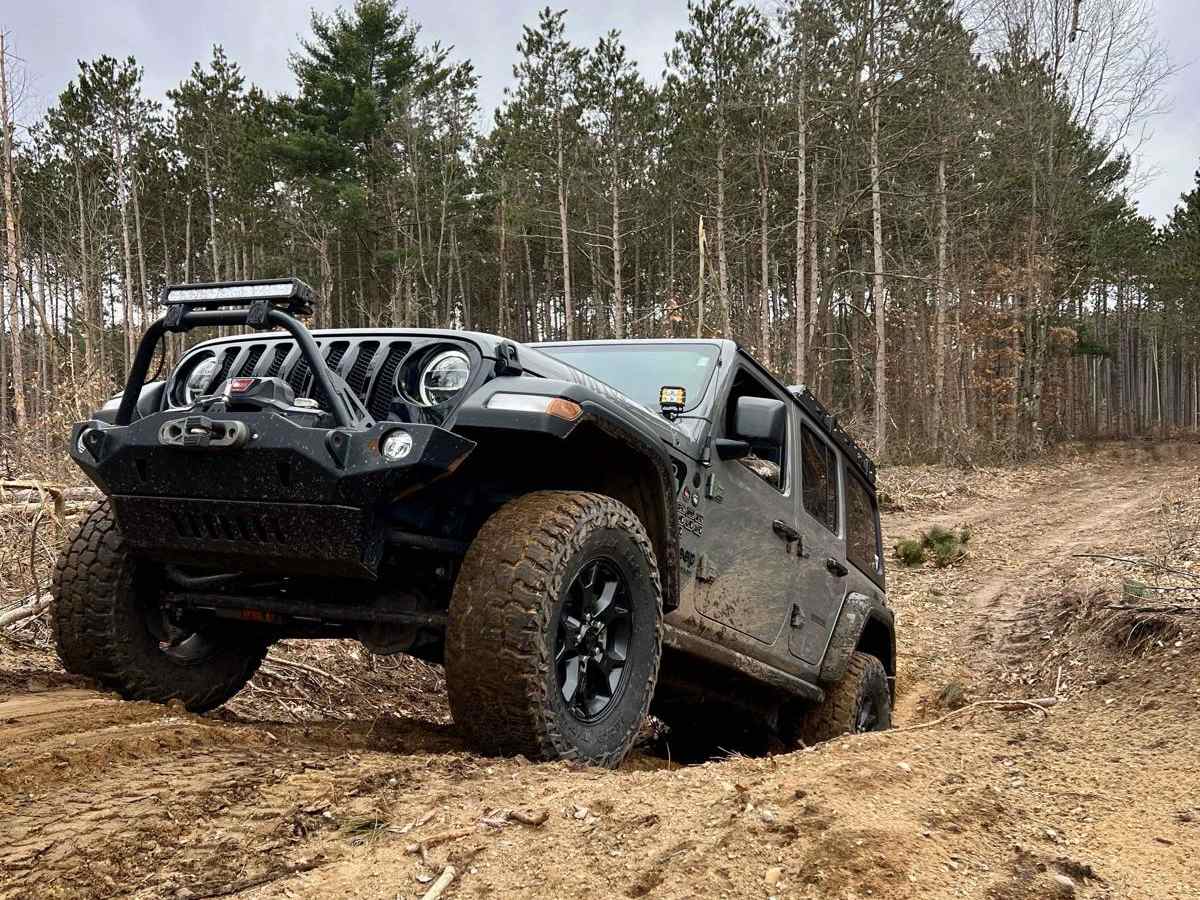 NFS 9208 (Bear Drive) trail photo