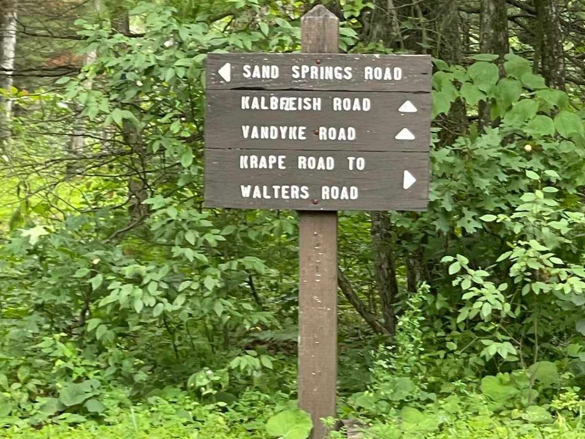 Kalbfleish Road photo 5