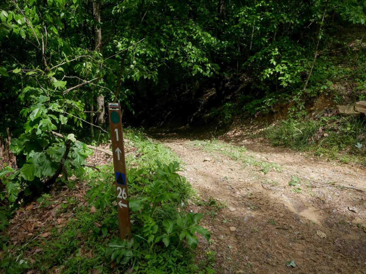 MV26 photo 2