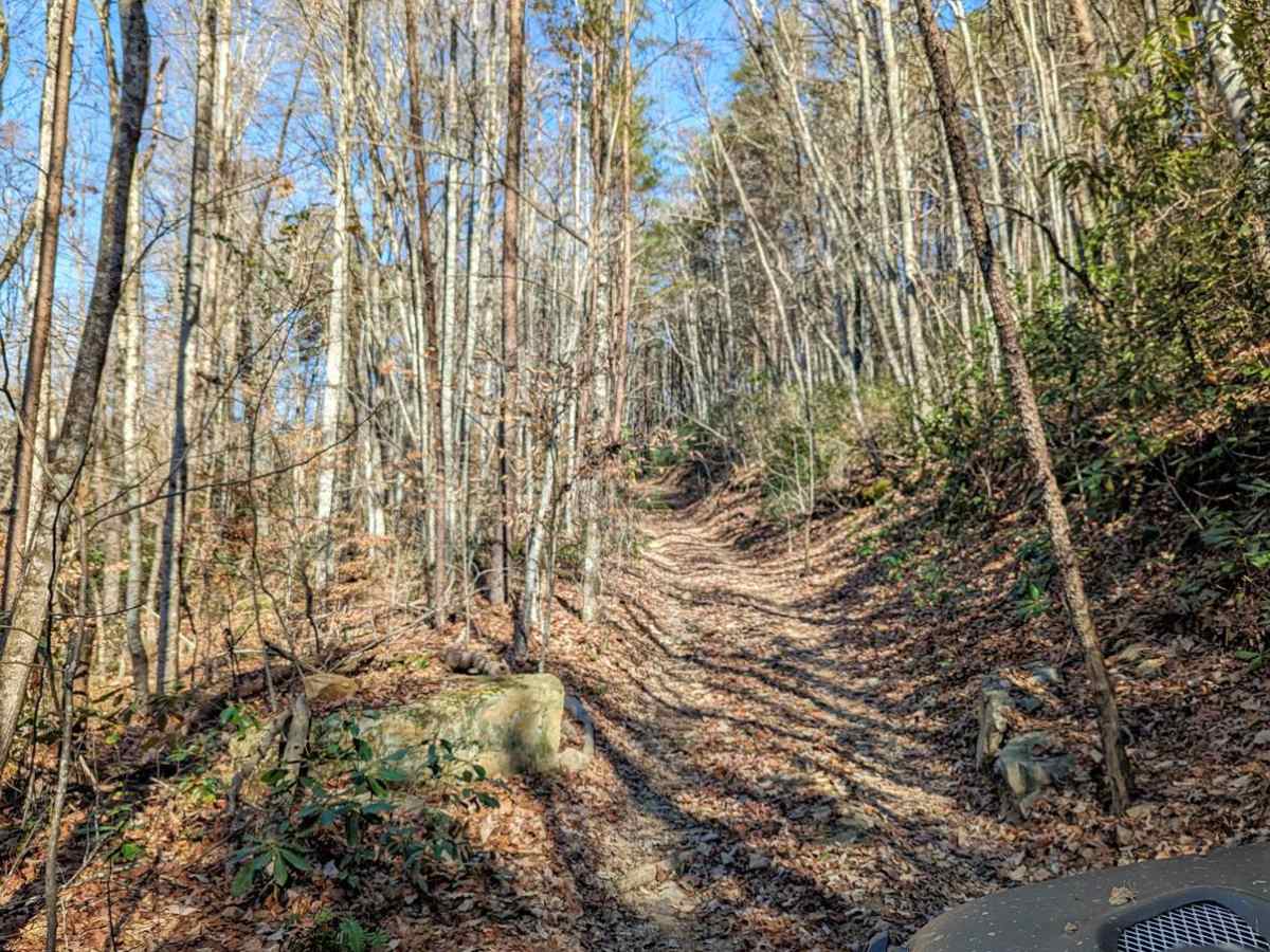 Walden's Ridge Bypass Trail 75a trail photo