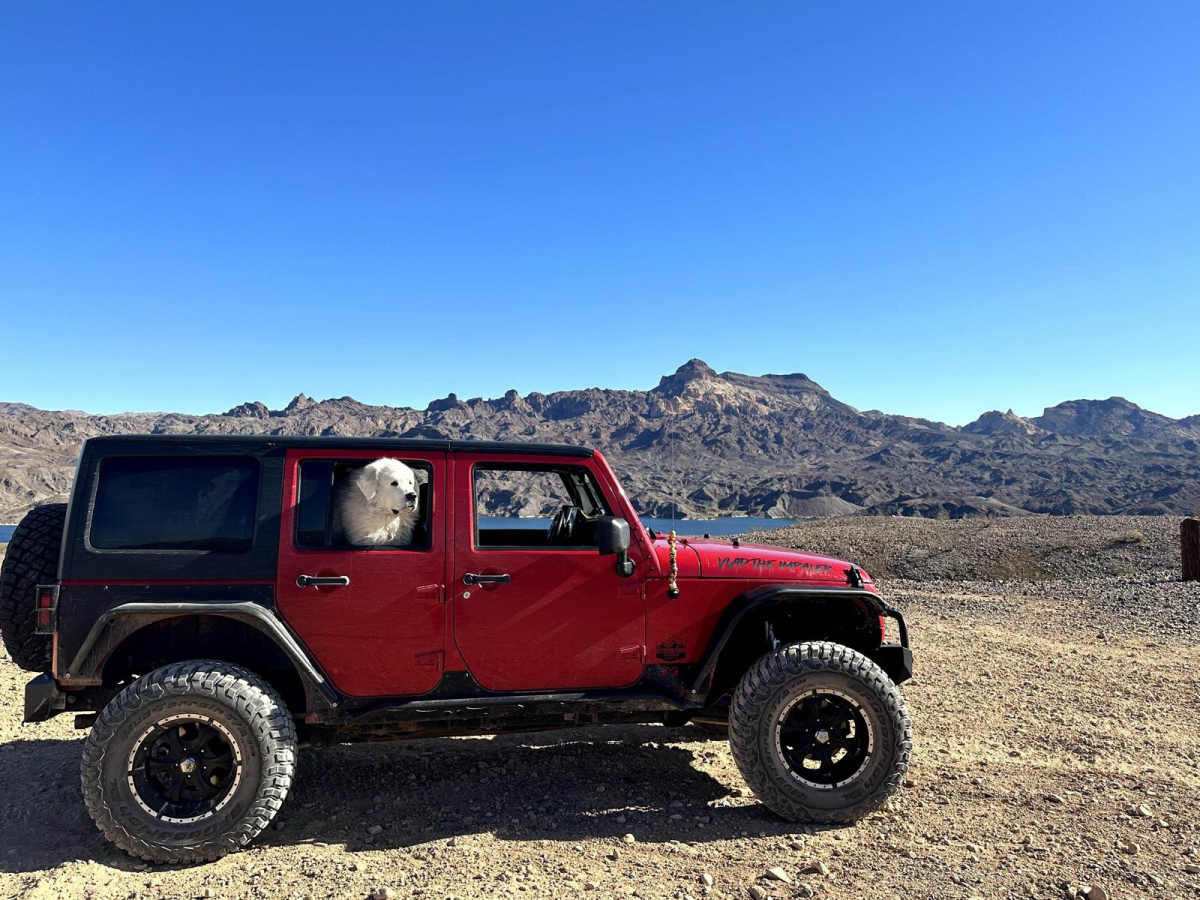 Fire Mountain Road photo 4