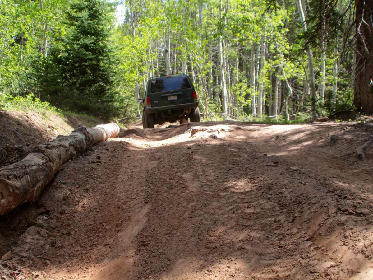 Lambs Canyon 4x4 photo 6