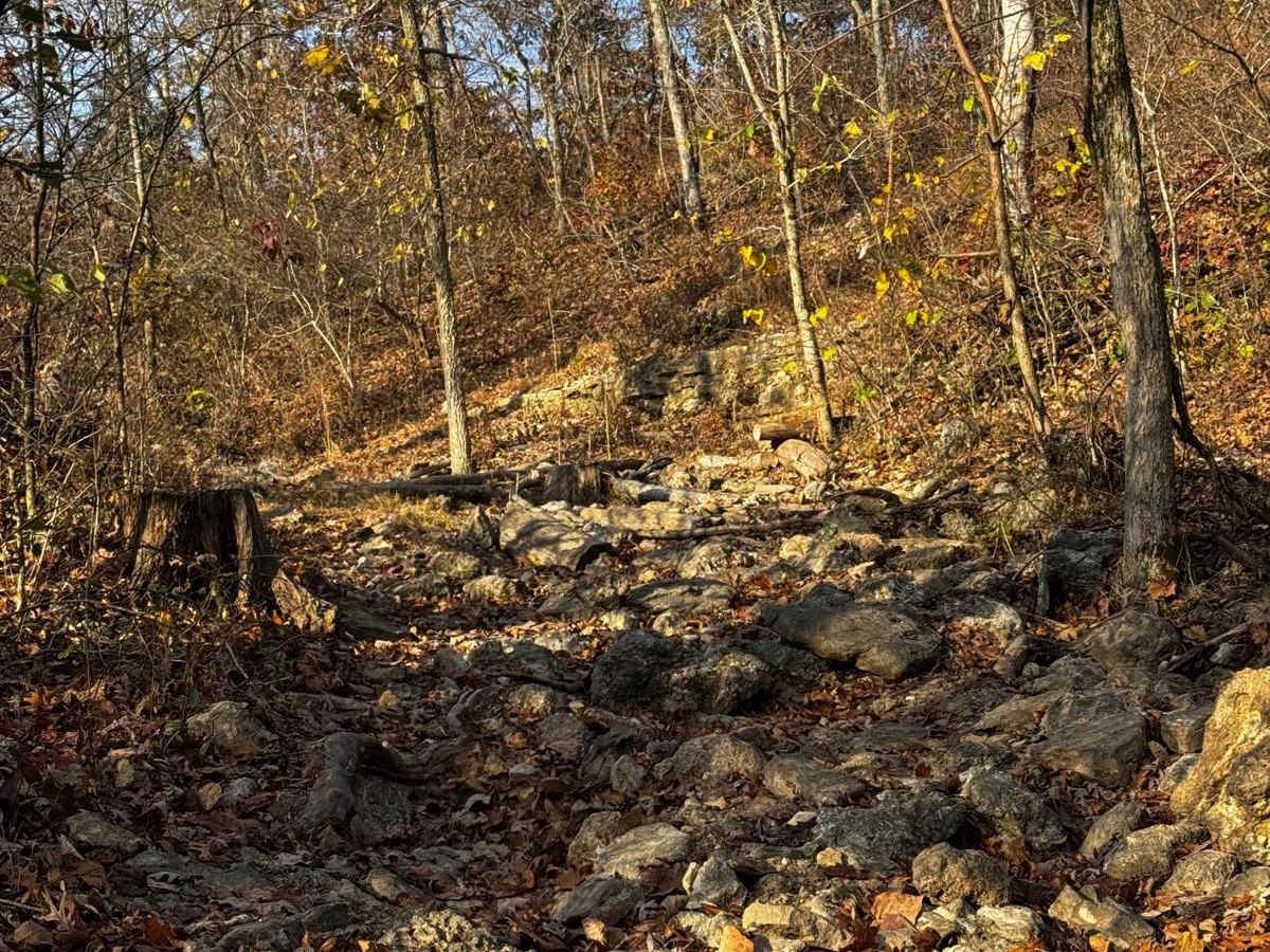 Rocky Road photo 4
