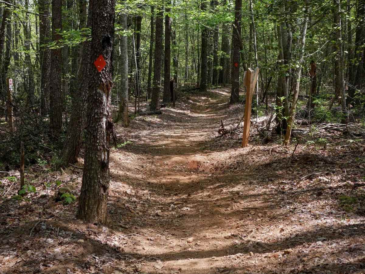 Sally Free Trail J photo 4