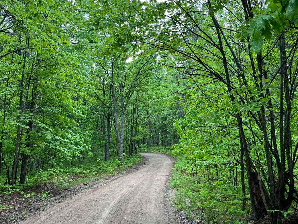 Cadillac Pathway #2 photo 5