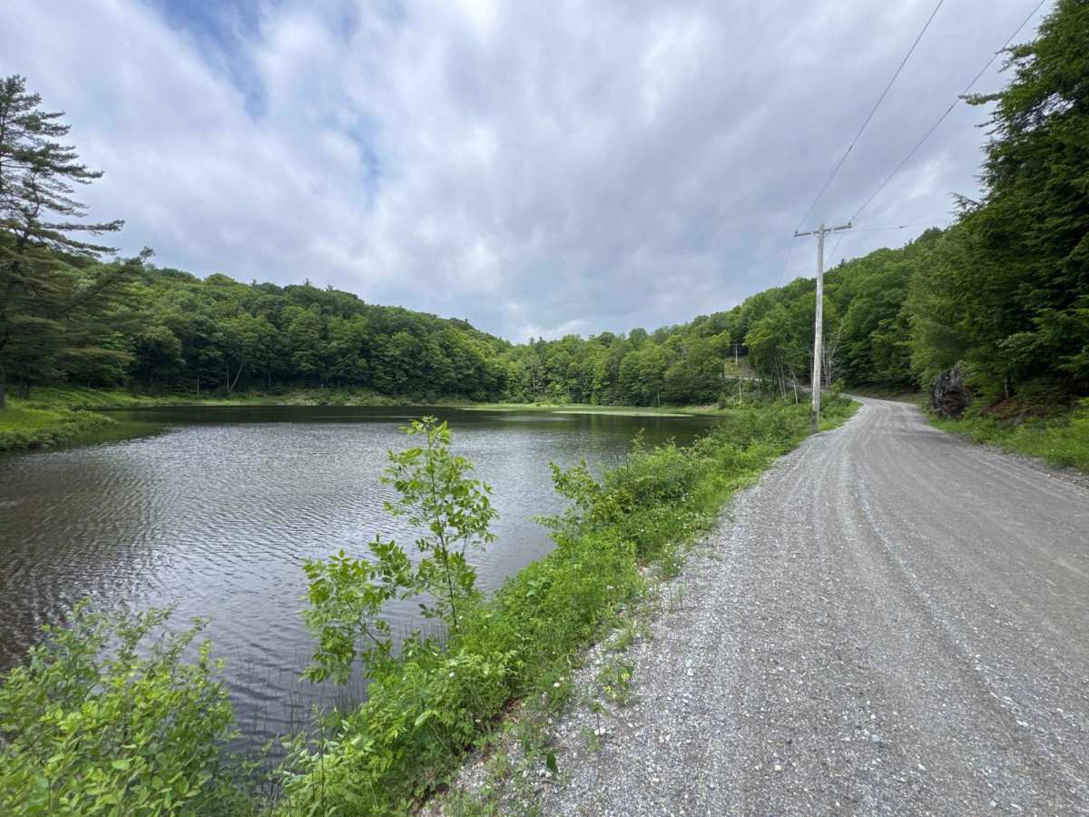 Hog Town Road trail photo