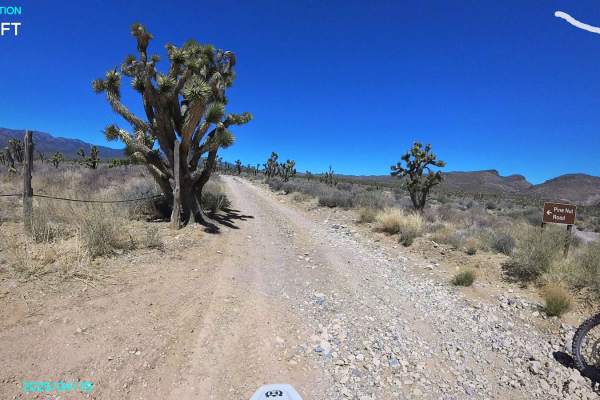 Pine Nut Road