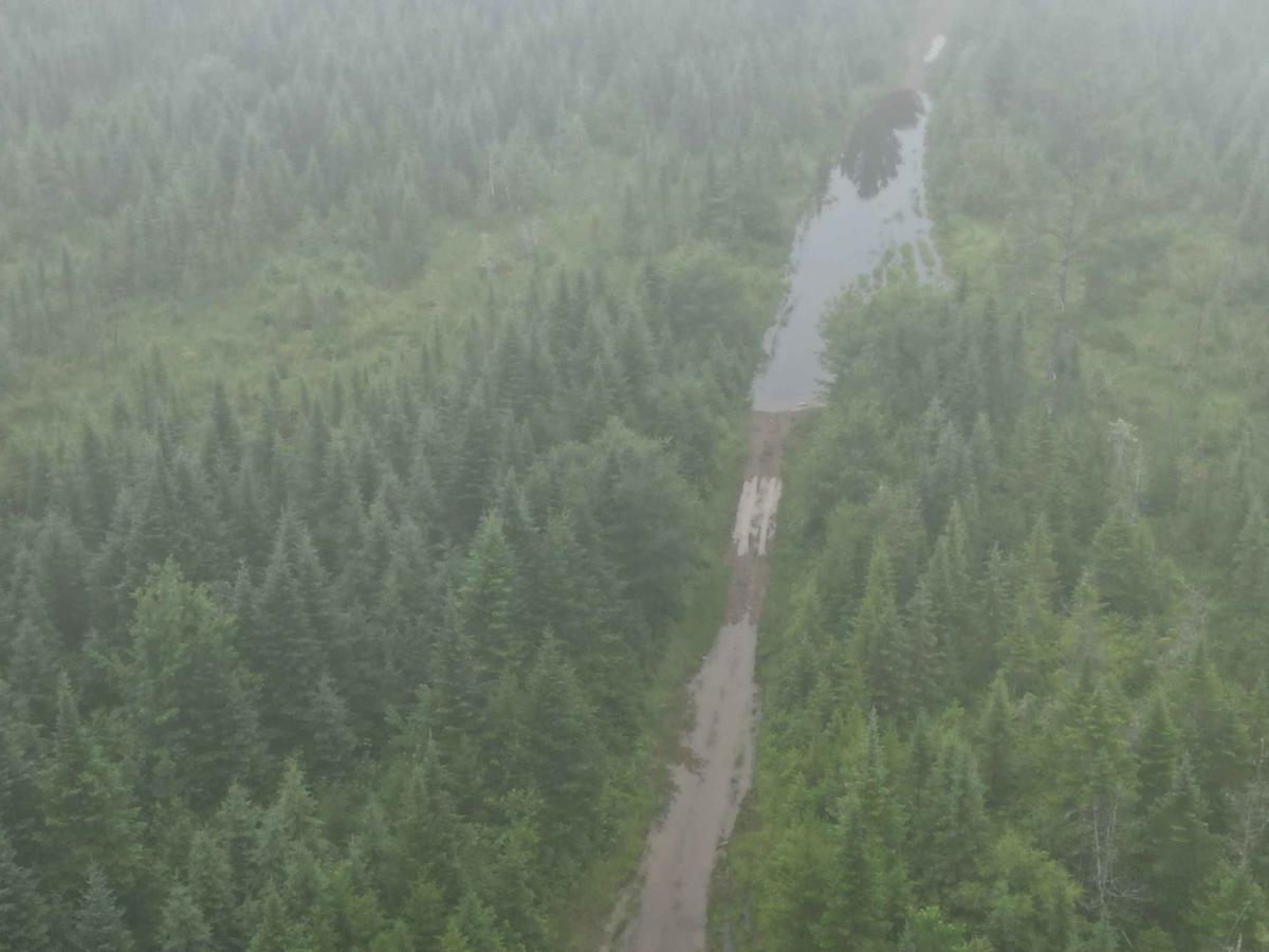 Old Springfield Pass photo 2