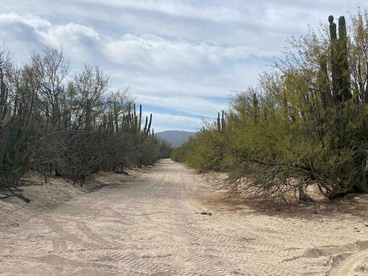 South of Los Planes photo 2