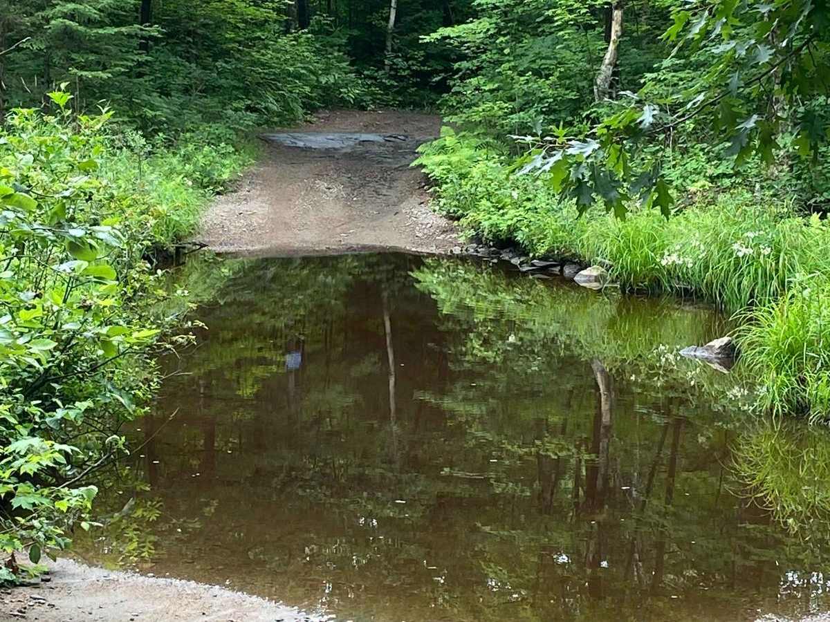 Scotch Line trail photo