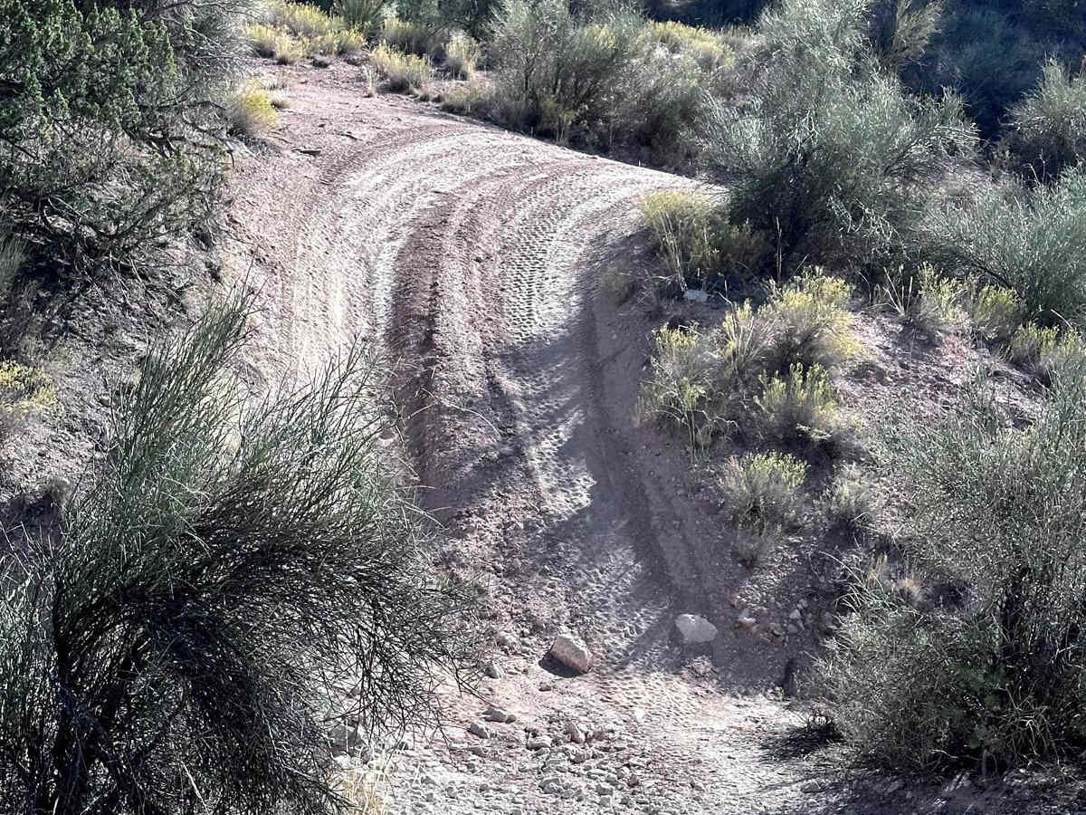 Skeleton Bones Trail photo 4
