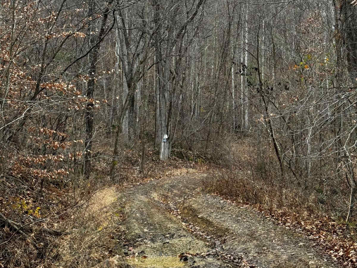 Johnson Hollow photo 4