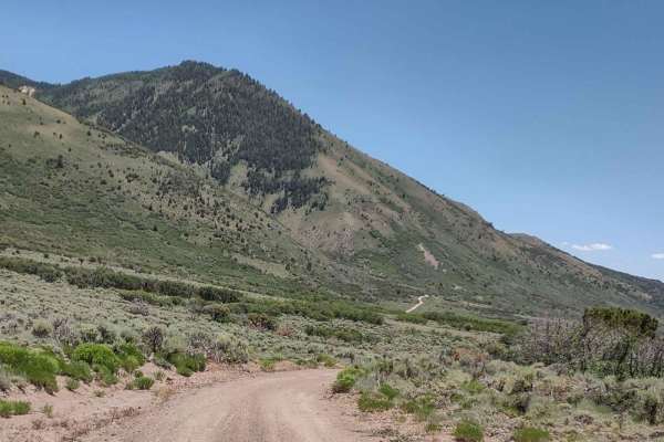 Rocky Escalator - FS 40153 - BLM 7934
