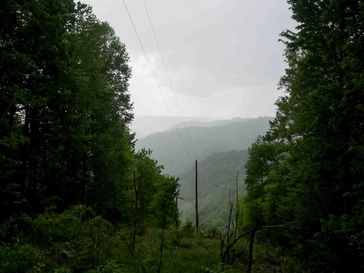 RH 95 photo 4