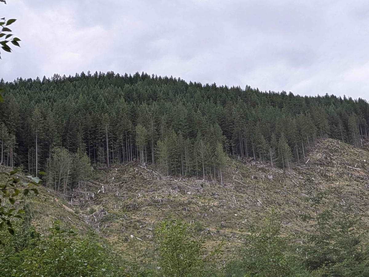 Gordon River Road North photo 3