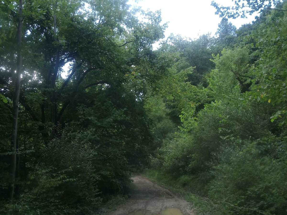 Spencer hollow photo 3