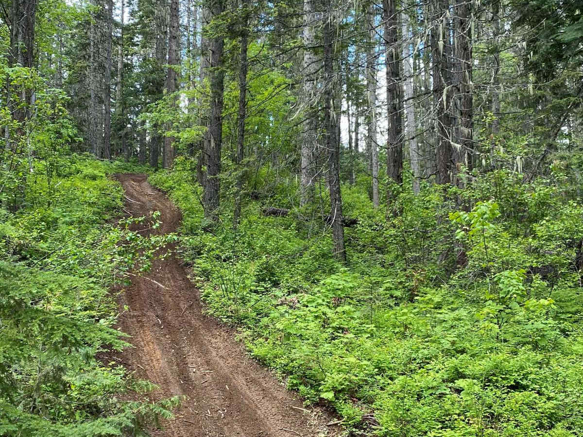 The Bird Road trail photo