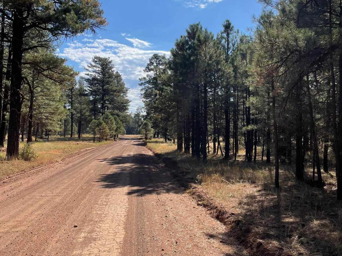 East FS 229 photo 4