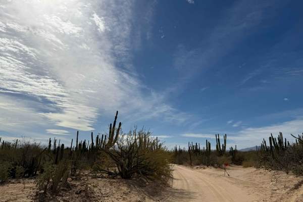 South of Los Planes/ San Blas Connecting Trail