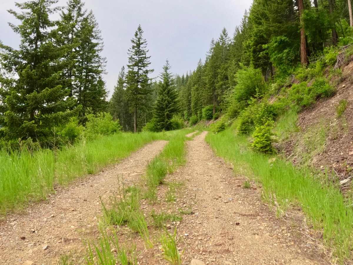 Verde Creek Road-Sunrise Road-Quartz Road photo 3
