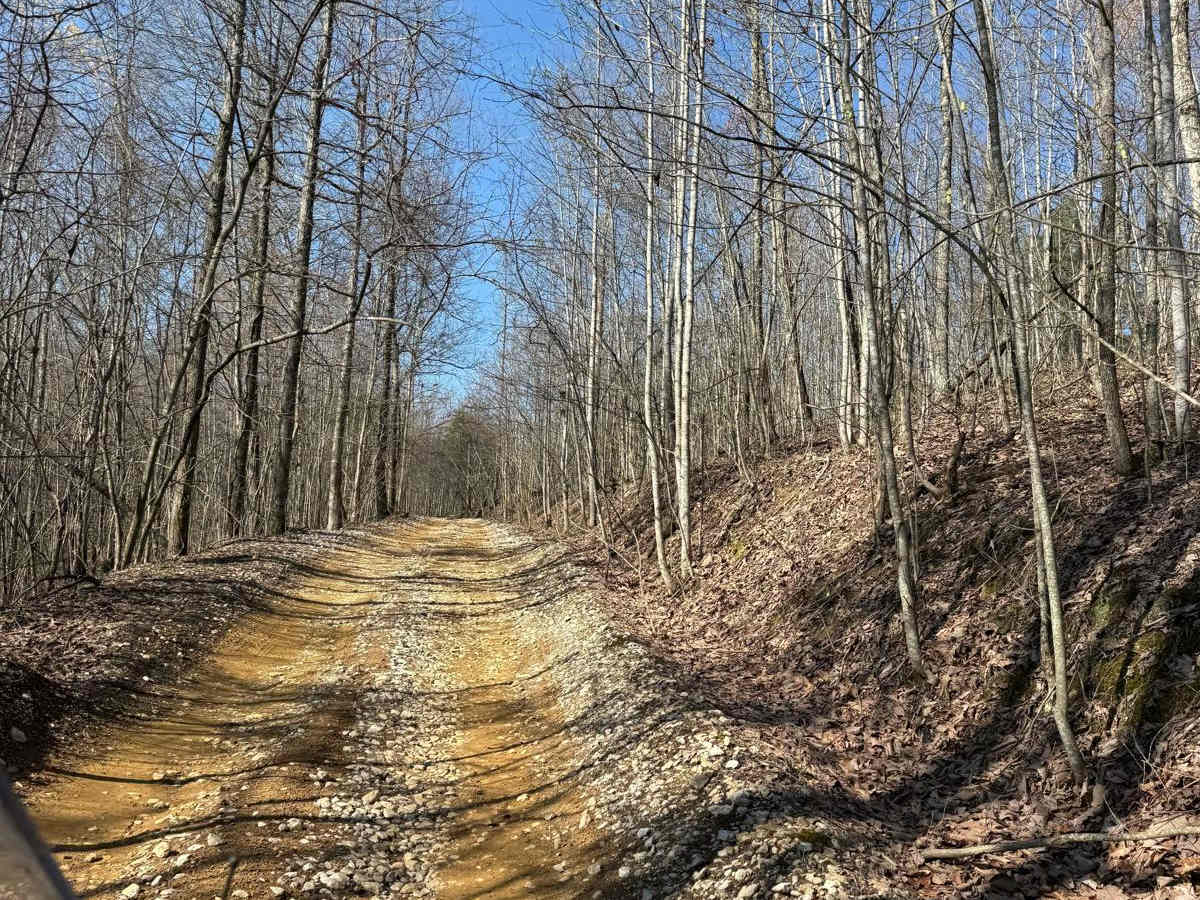Trail 3 photo 4