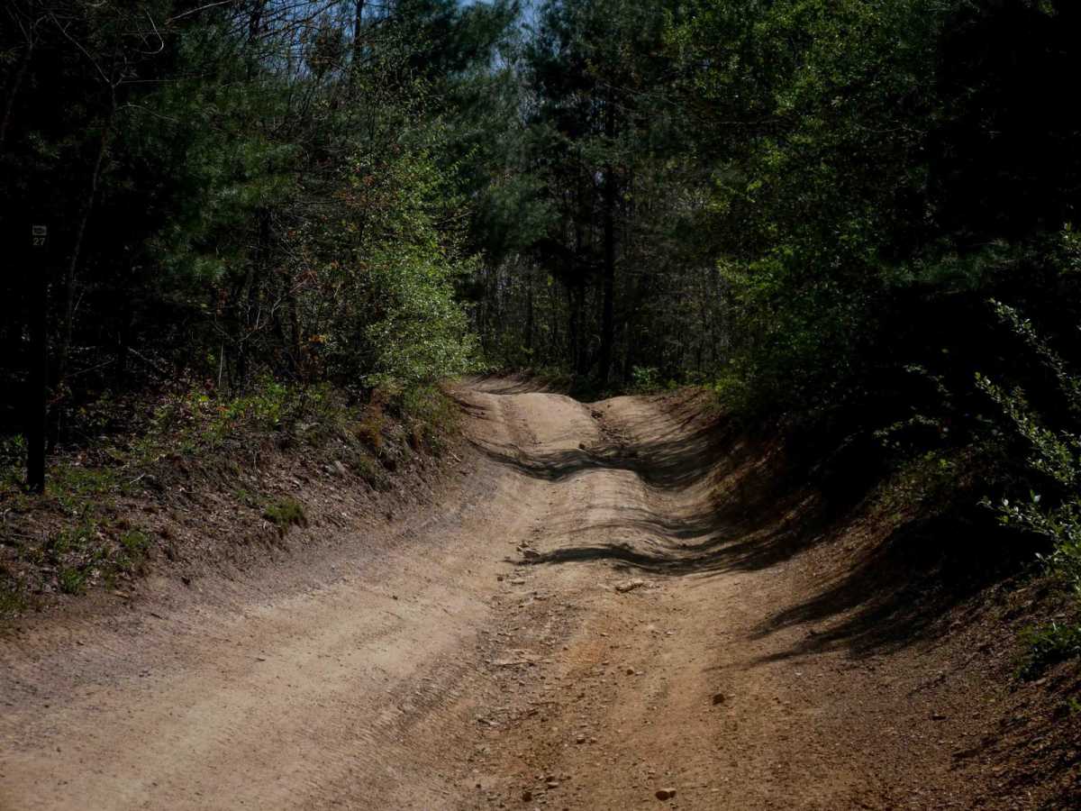 P27 trail photo
