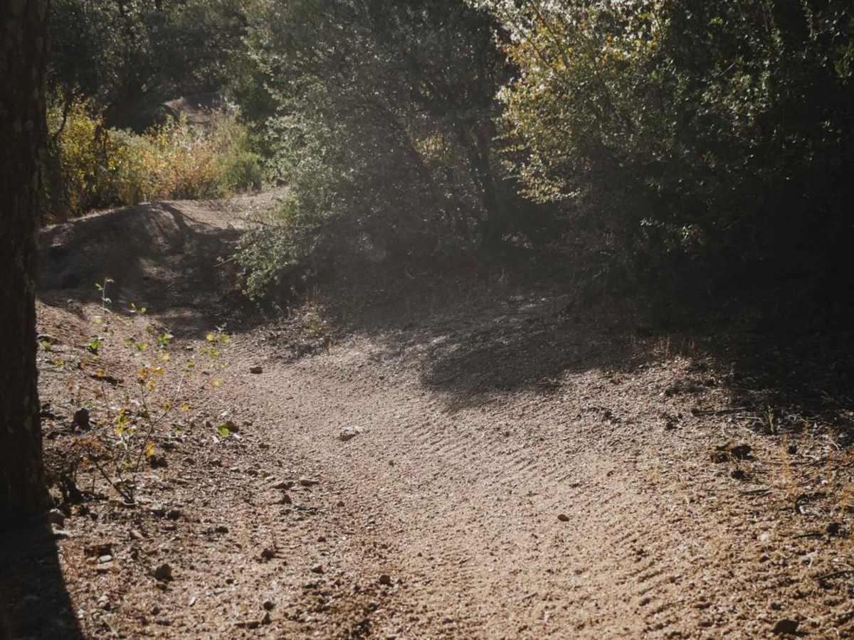 Trail 3 photo 6
