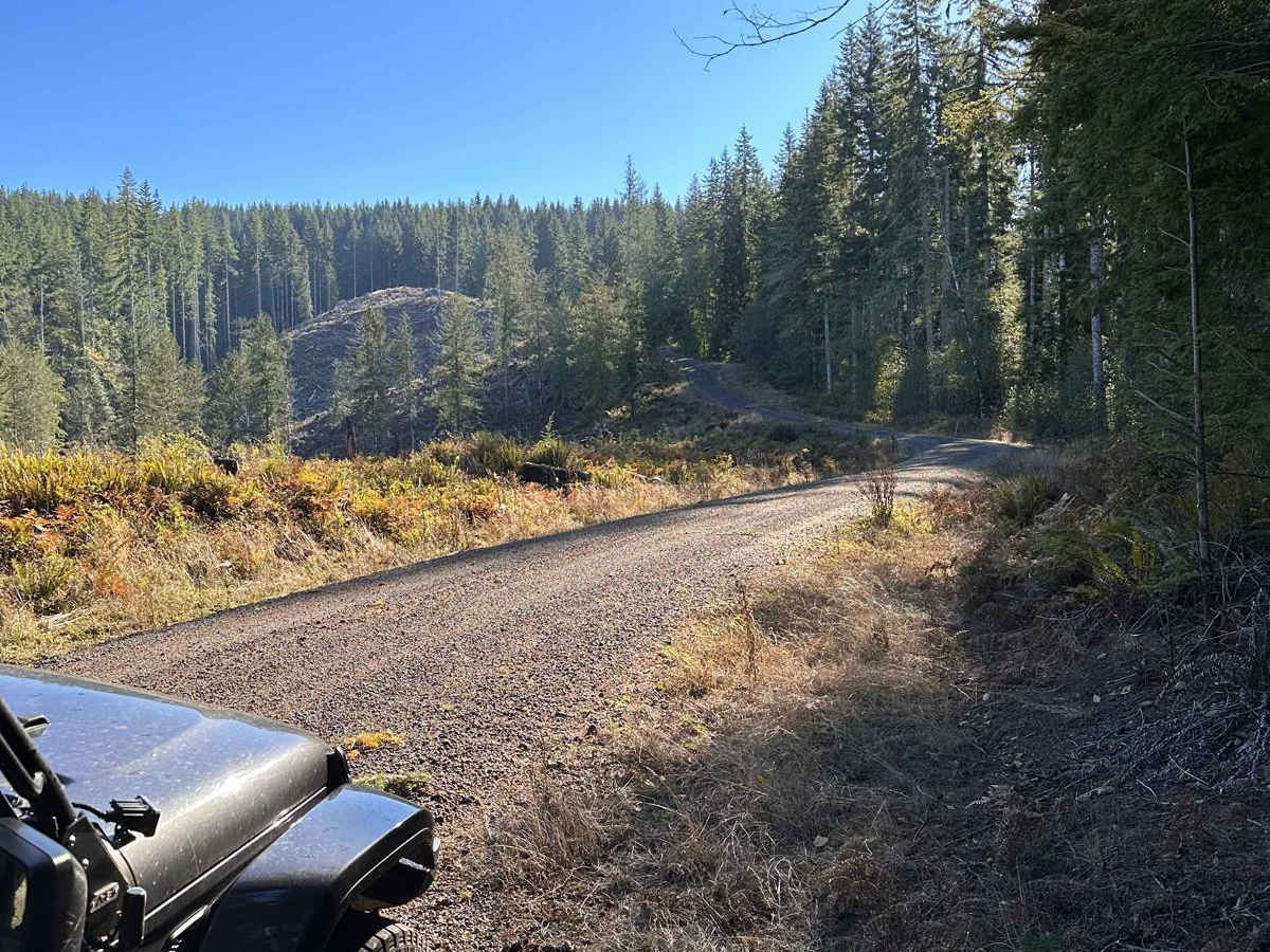 Wage to Walker Ridge photo 3