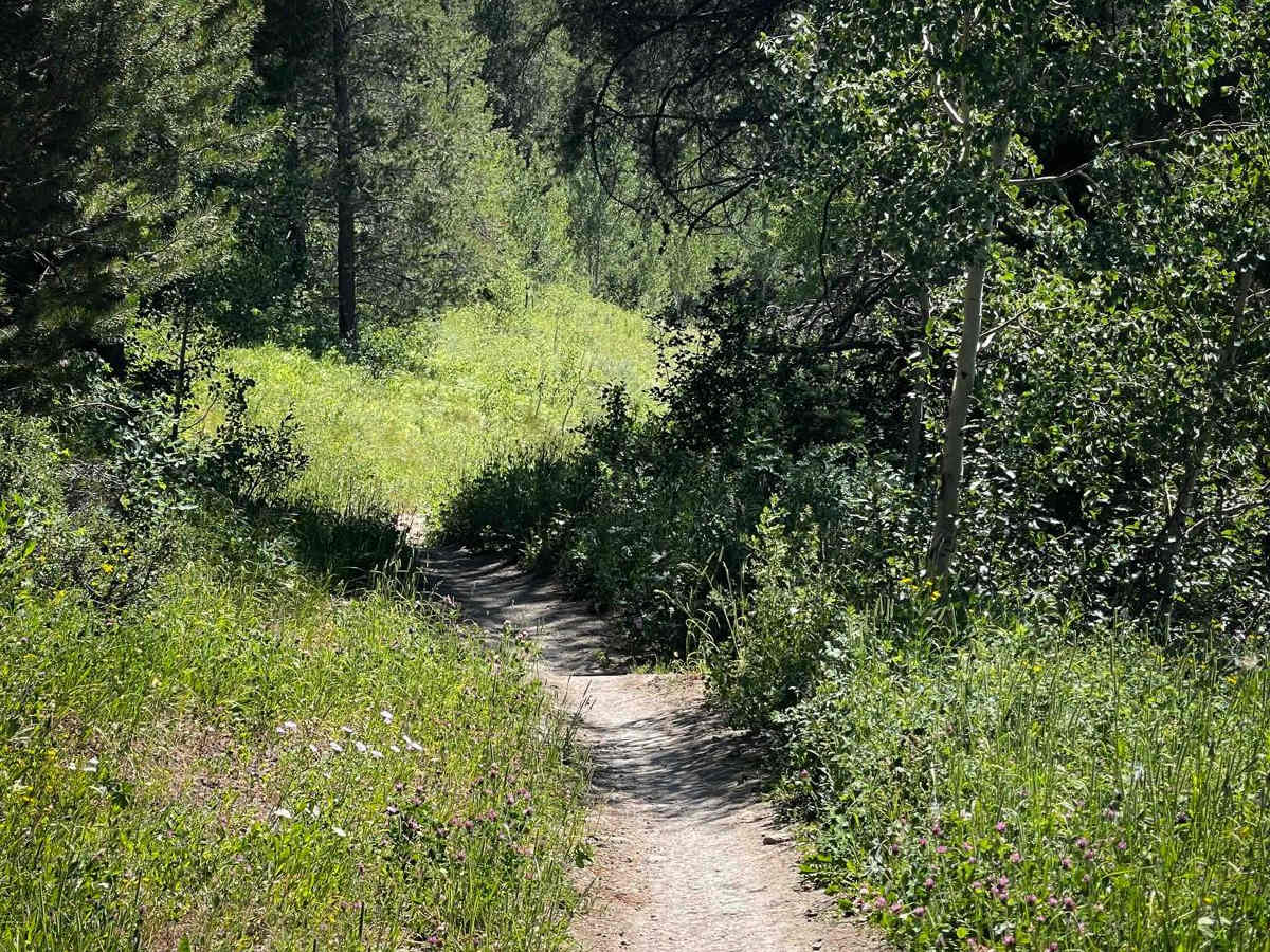 South Horseshoe photo 5