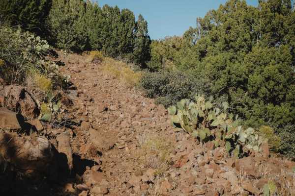 Ryal Canyon #521